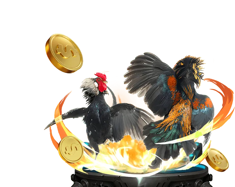 Lợi ích đá gà 98win8